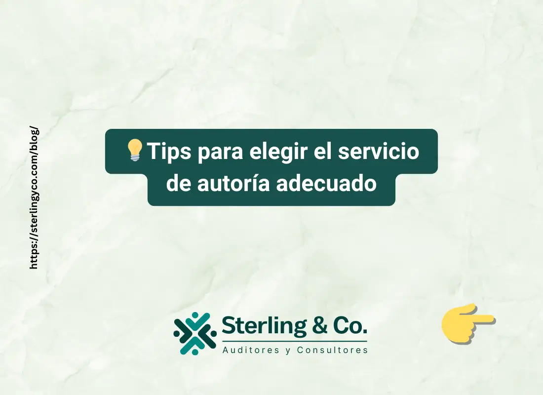 Consejos para Elegir el Servicio de Auditoría Adecuado 1